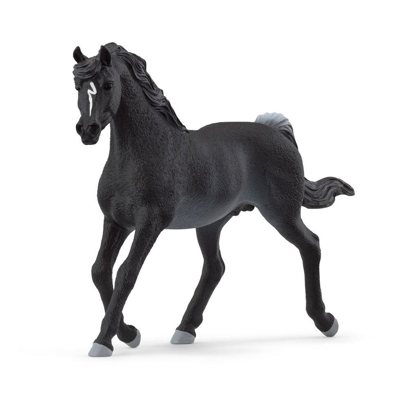 SCHLEICH Horse Club Arab Stallion Toy Figure, 5 to 12 Years, Black