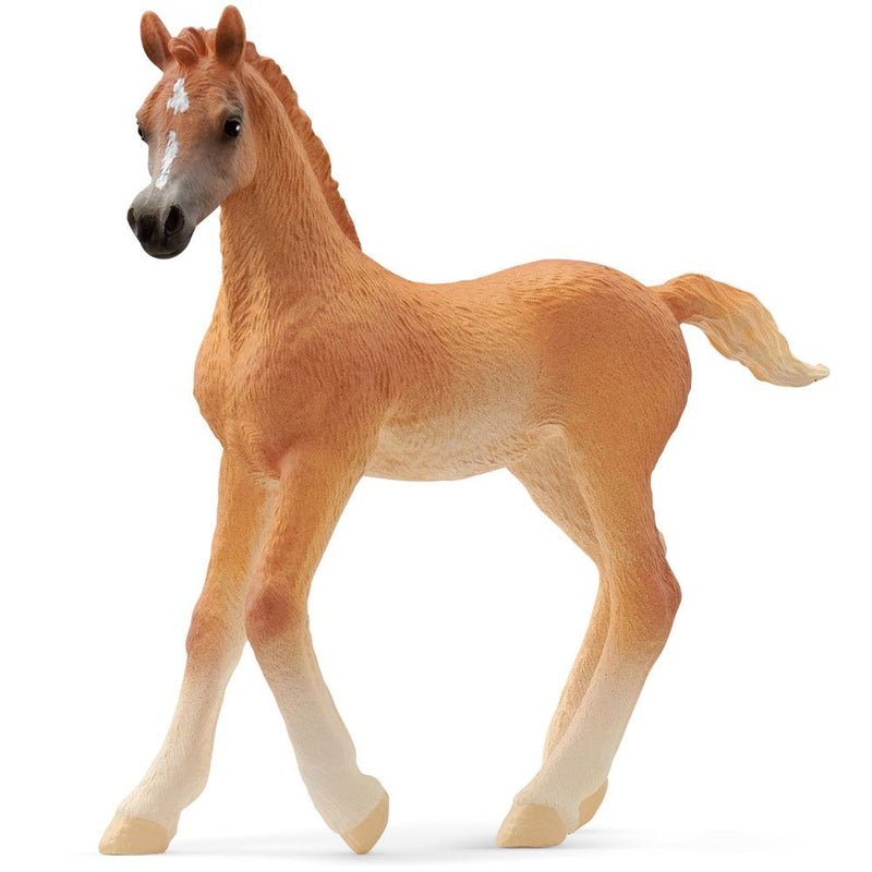 SCHLEICH Horse Club Arab Foal Toy Figure, 5 to 12 Years, Brown