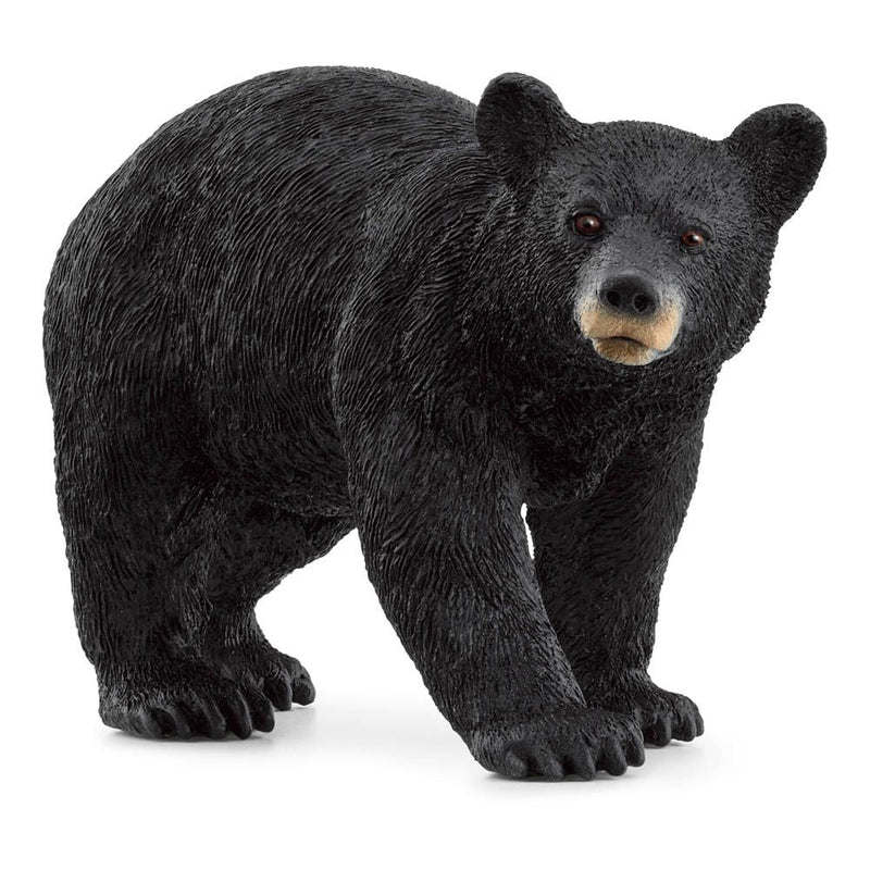 SCHLEICH Wild Life American Black Bear Toy Figure, 3 to 8 Years, Black