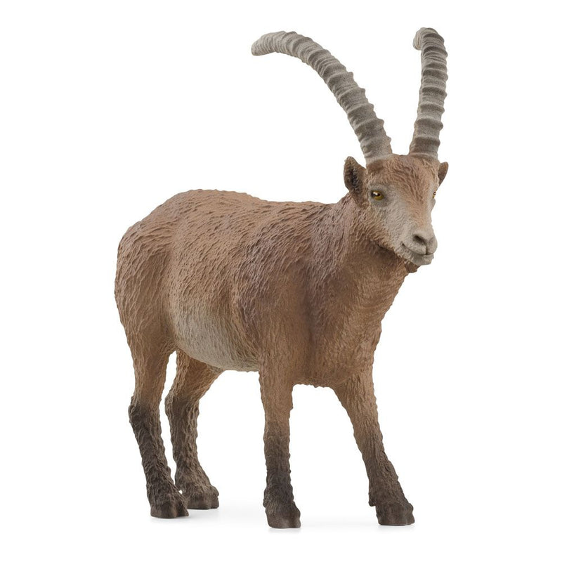 SCHLEICH Wild Life Ibex Toy Figure, 3 to 8 Years, Brown