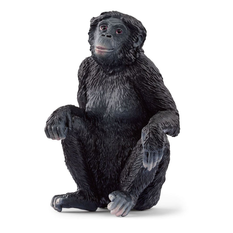 SCHLEICH Wild Life Bonobo Female Toy Figure, 3 to 8 Years, Black