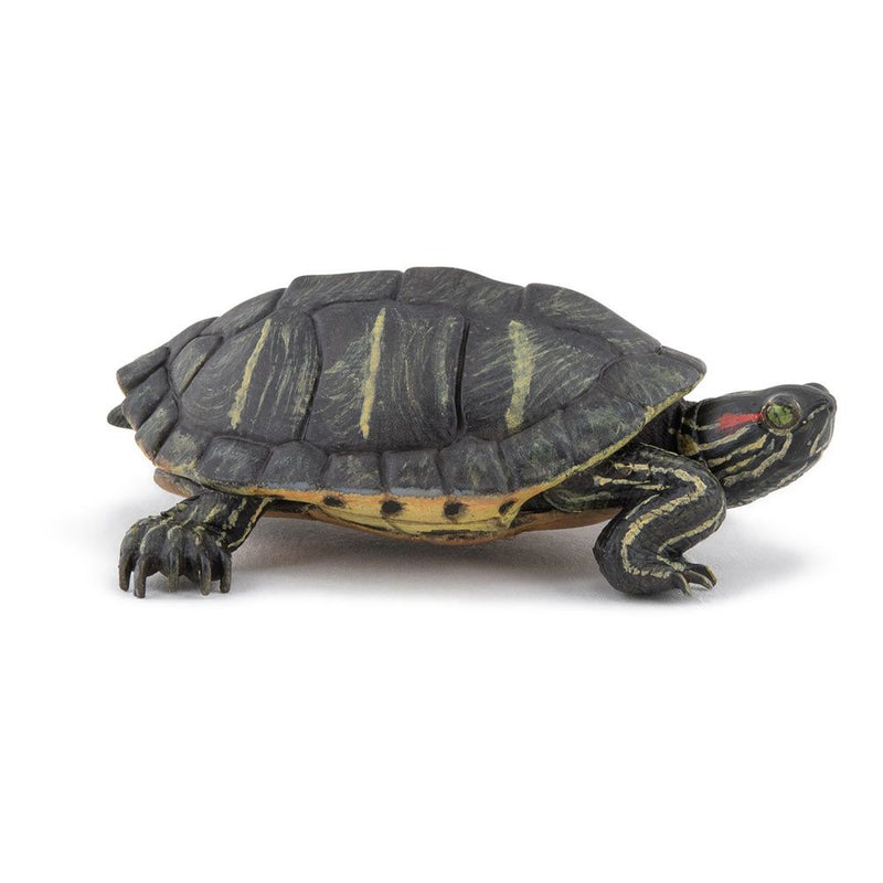 PAPO Wild Animal Kingdom Florida Tortoise Toy Figure