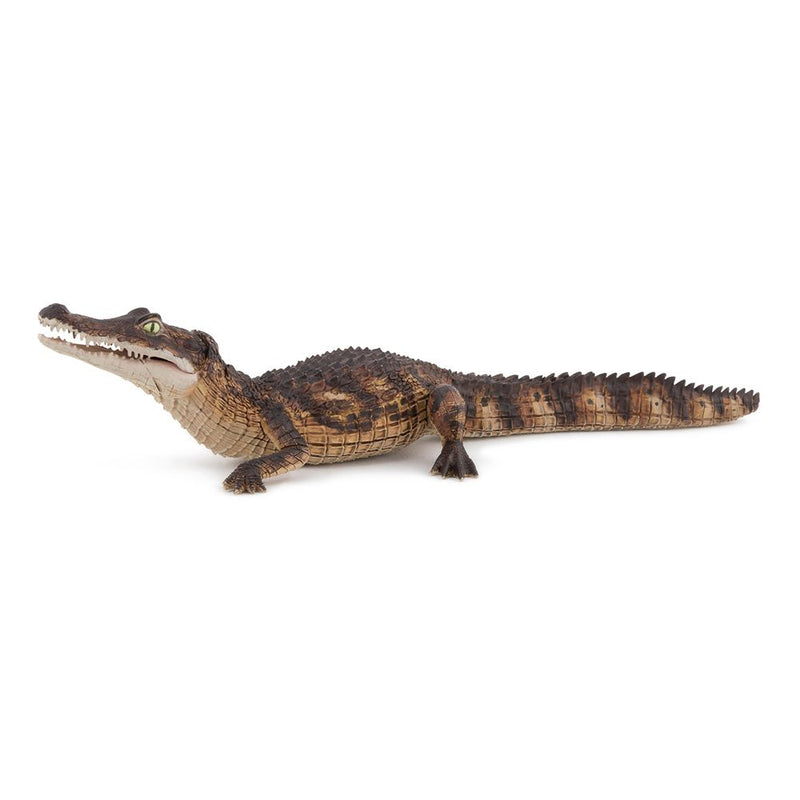 PAPO Wild Animal Kingdom Cayman Toy Figure