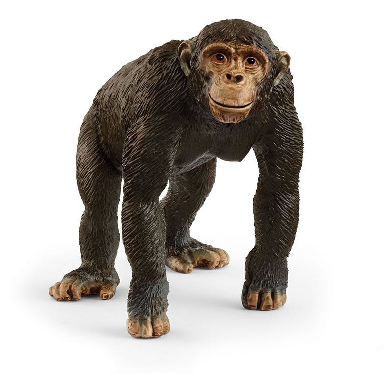 SCHLEICH Wild Life Chimpanzee Toy Figure