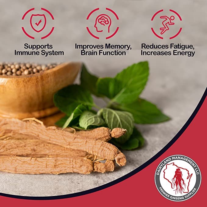 Dairyland Ginseng - Premium Panax Notoginseng Powder (4 oz) – 100% Natural Tien Chi Root Powder | Gluten Free, Non-GMO