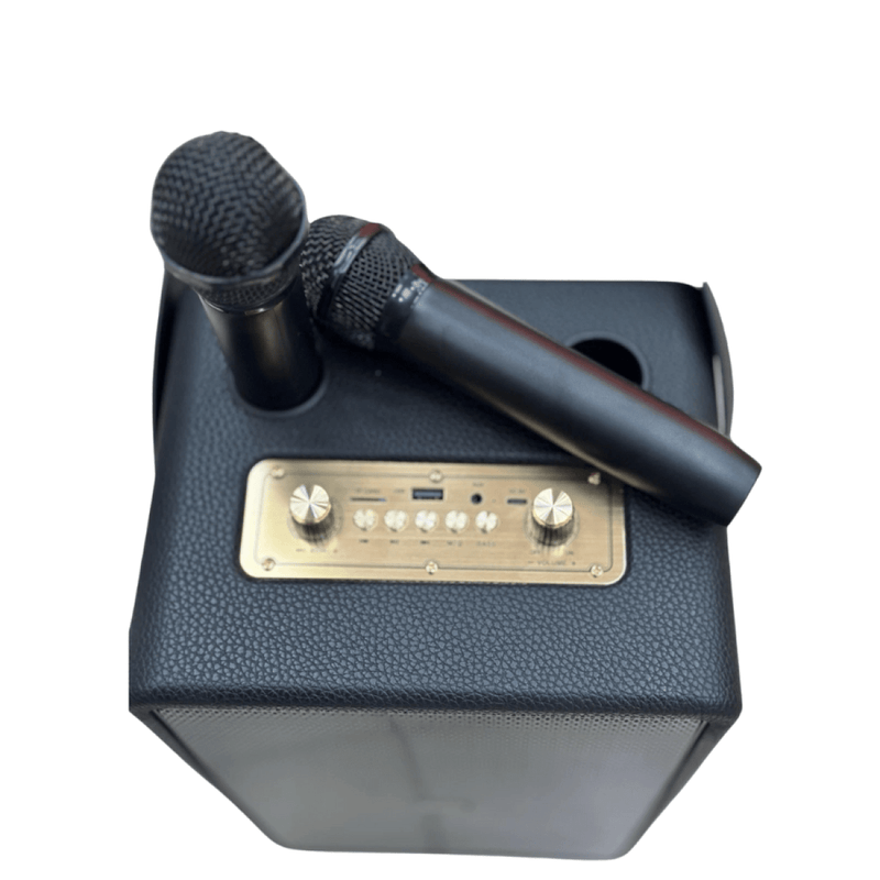Panther Force Speaker with 2 wireless MIC & RGB LIGHT - PF305 - InStock