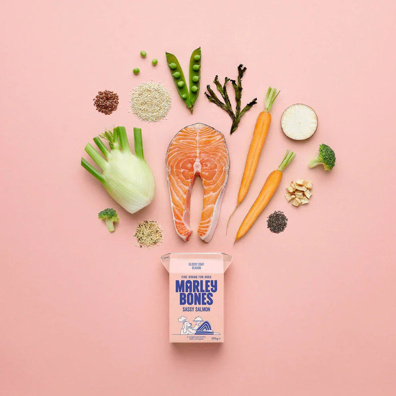 Marley Bones Pantry Fresh® Salmon 390g x 12