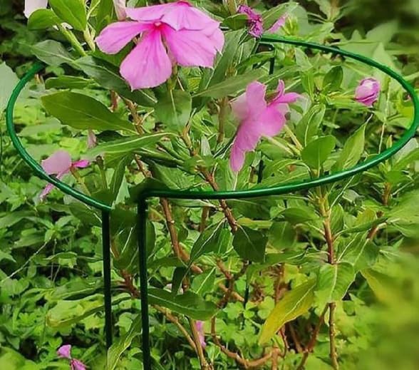 Plant Support Stakes 3 Pack Half Round Metal