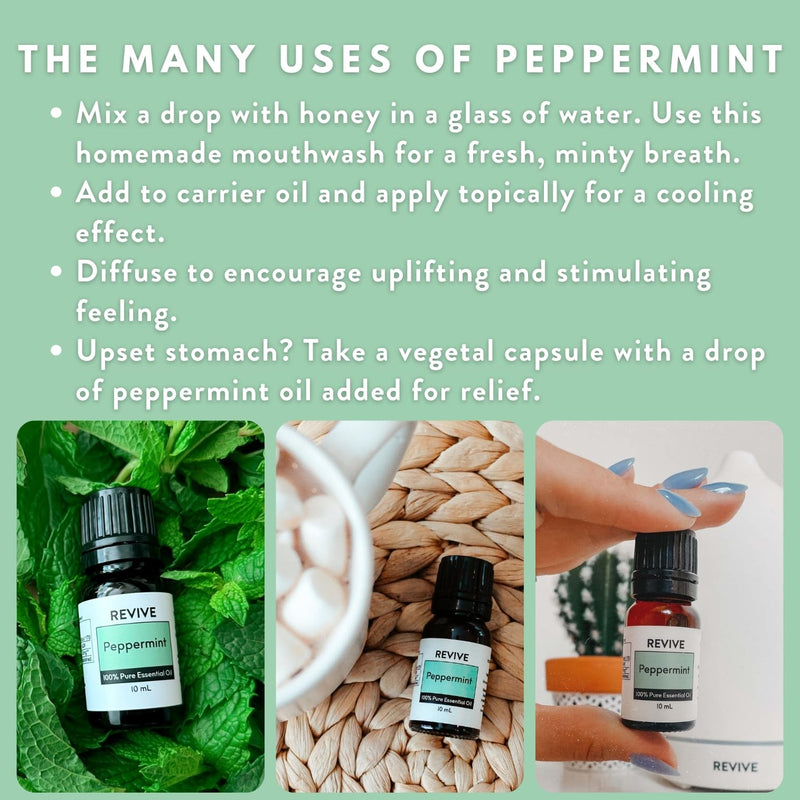 Peppermint Essential Oil – 100% Pure Therapeutic Grade | Revive Essential Oils