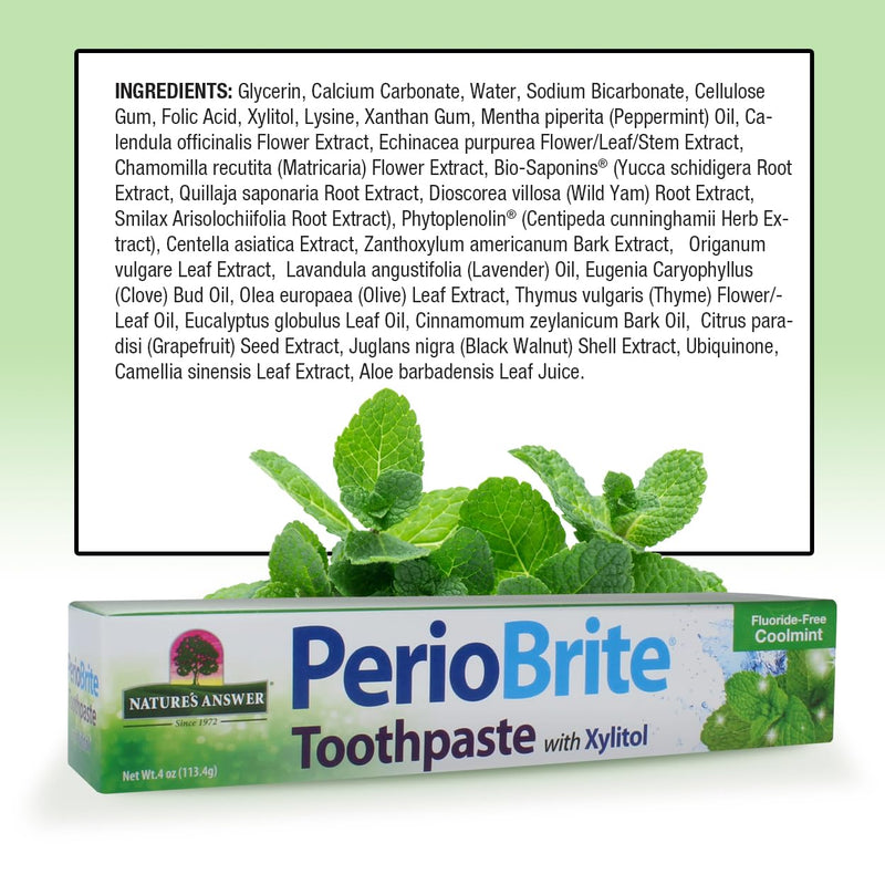 Nature's Answer PerioBrite Natural Toothpaste - Cool Mint, 4 oz (2 Pack) Fluoride Free