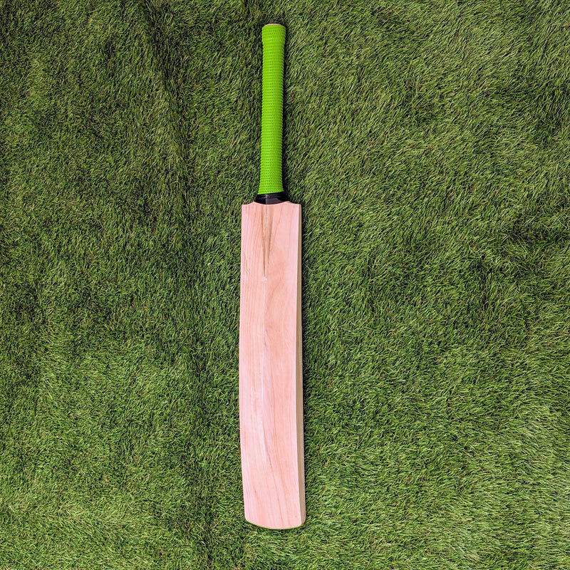 Plain Cricket Bat (Short Handle)