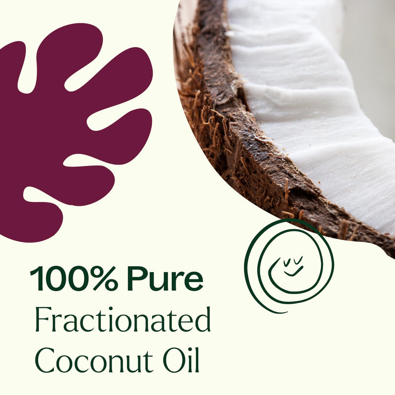 Plant Therapy Fractionated Coconut Oil 16 oz – Pure Carrier Oil for Skin, Hair, and Aromatherapy