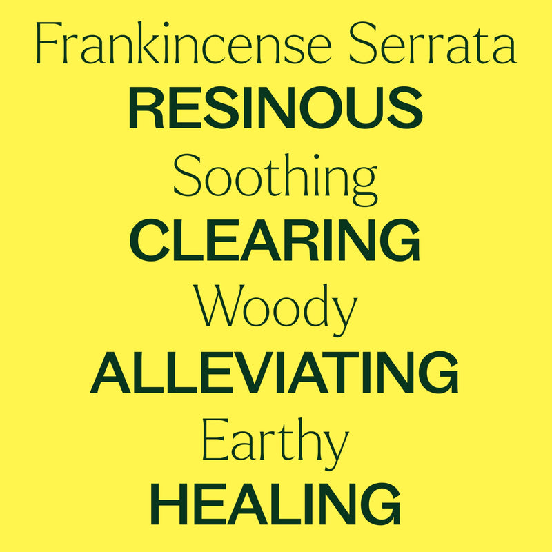 Plant Therapy Organic Frankincense Serrata Essential Oil – 100% Pure, USDA Certified Organic, Undiluted, Therapeutic Grade 10 mL