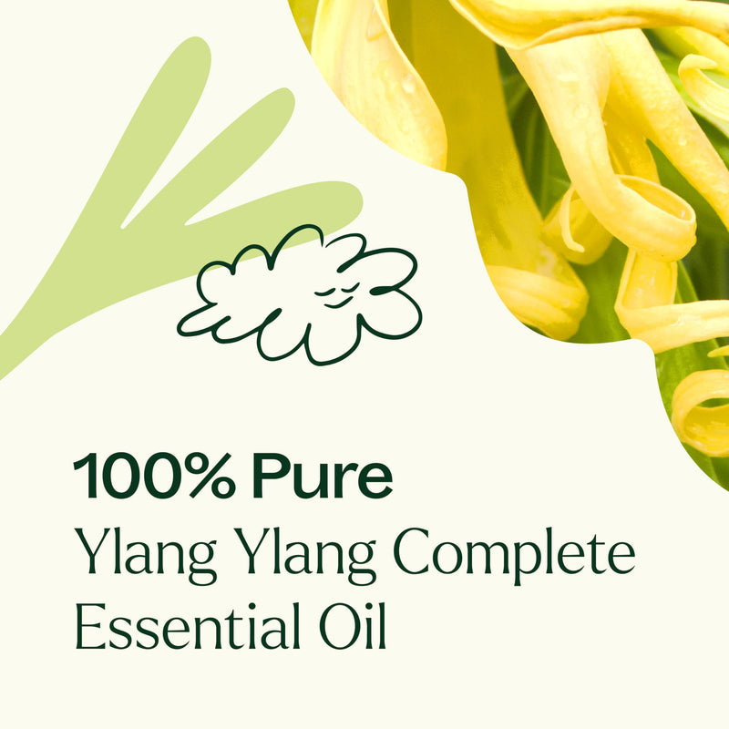 Plant Therapy Ylang Ylang Complete Essential Oil – 100% Pure, Undiluted, Therapeutic Grade, 10 mL