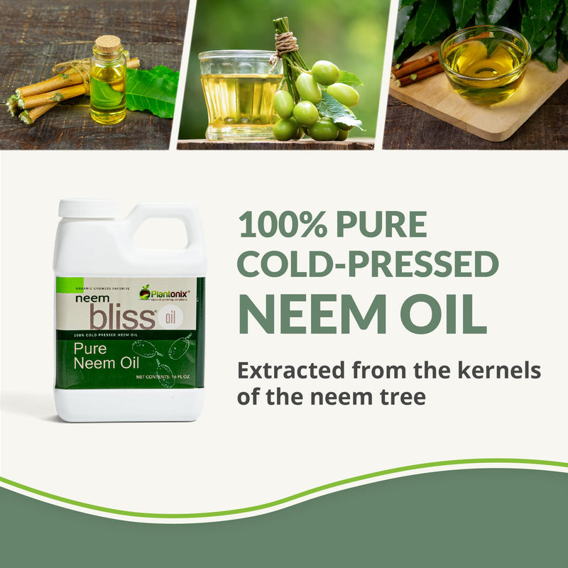 Neem Bliss (64 Fl Oz) – Pure Cold-Pressed Neem Oil by Plantonix