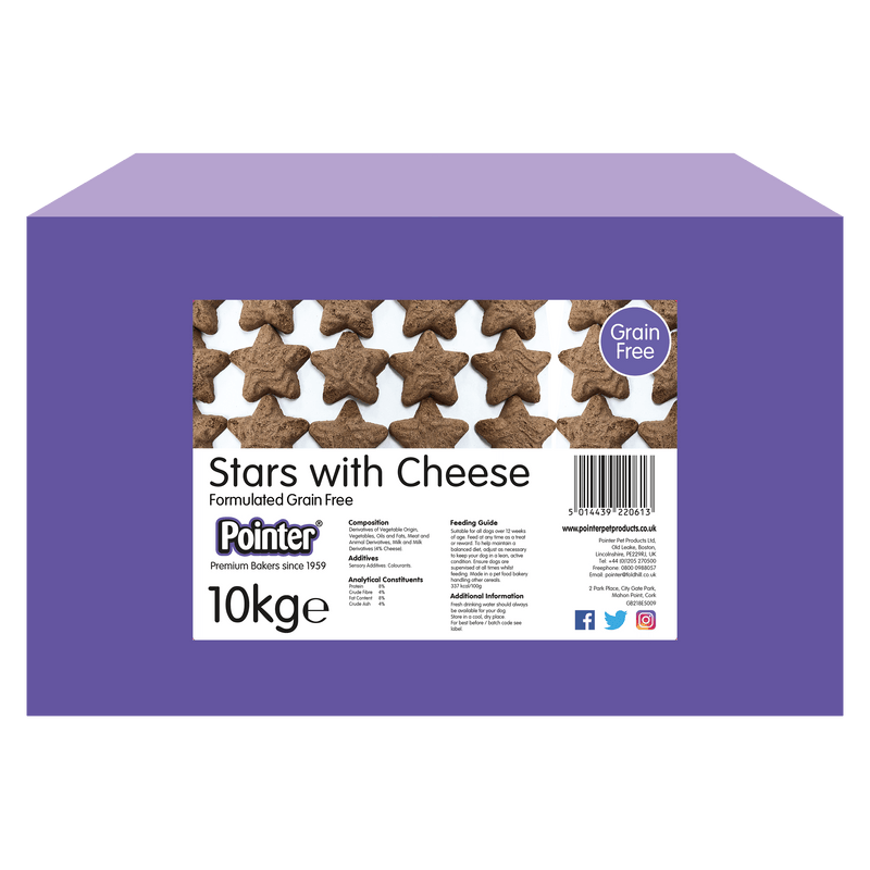 Pointer Stars with Cheese