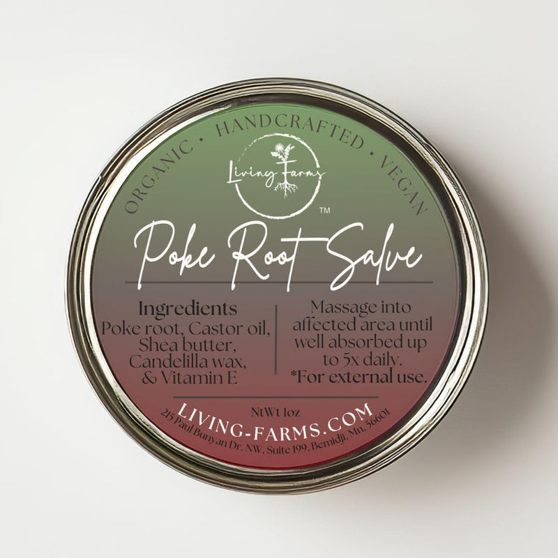 Poke Root & Castor Oil Salve - 1oz | Vegan Lymphatic Support Balm | Handmade in USA