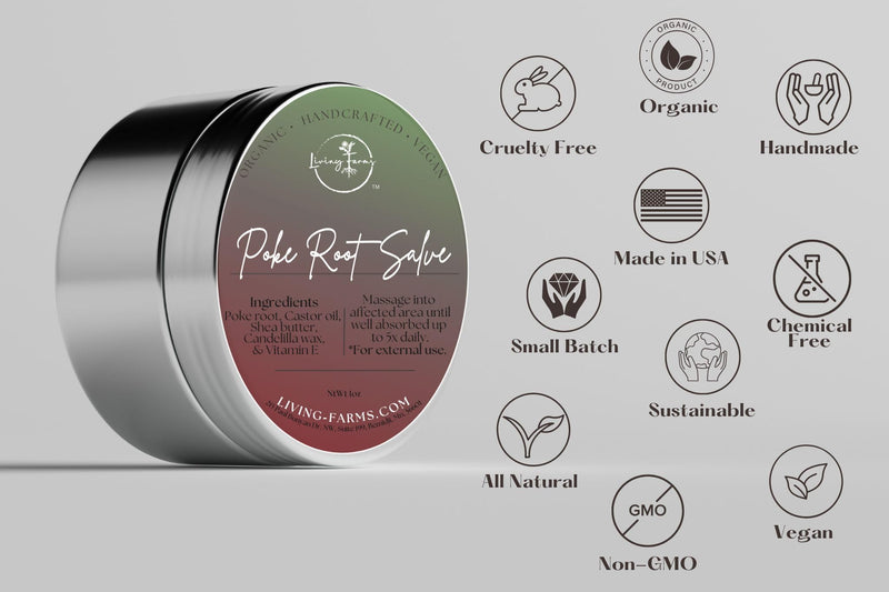 Poke Root & Castor Oil Salve - 1oz | Vegan Lymphatic Support Balm | Handmade in USA