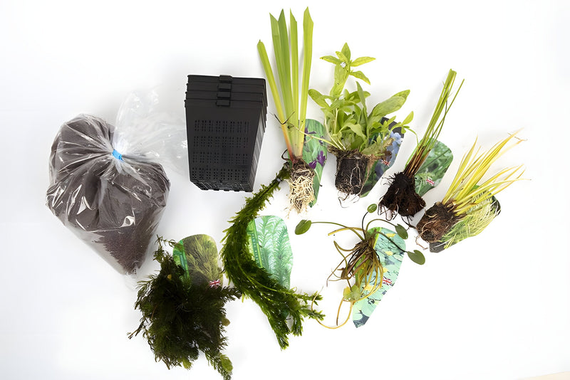 Pond Starter & top up Packs - Oxygenating - Compost and Pots