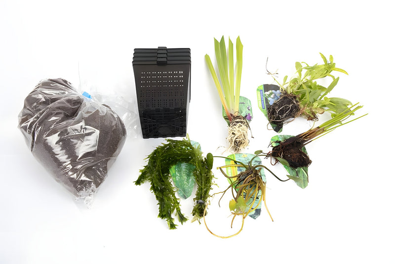 Pond Starter & top up Packs - Oxygenating - Compost and Pots