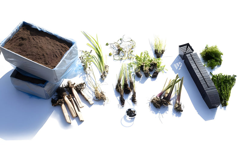 Pond Starter & top up Packs - Oxygenating - Compost and Pots