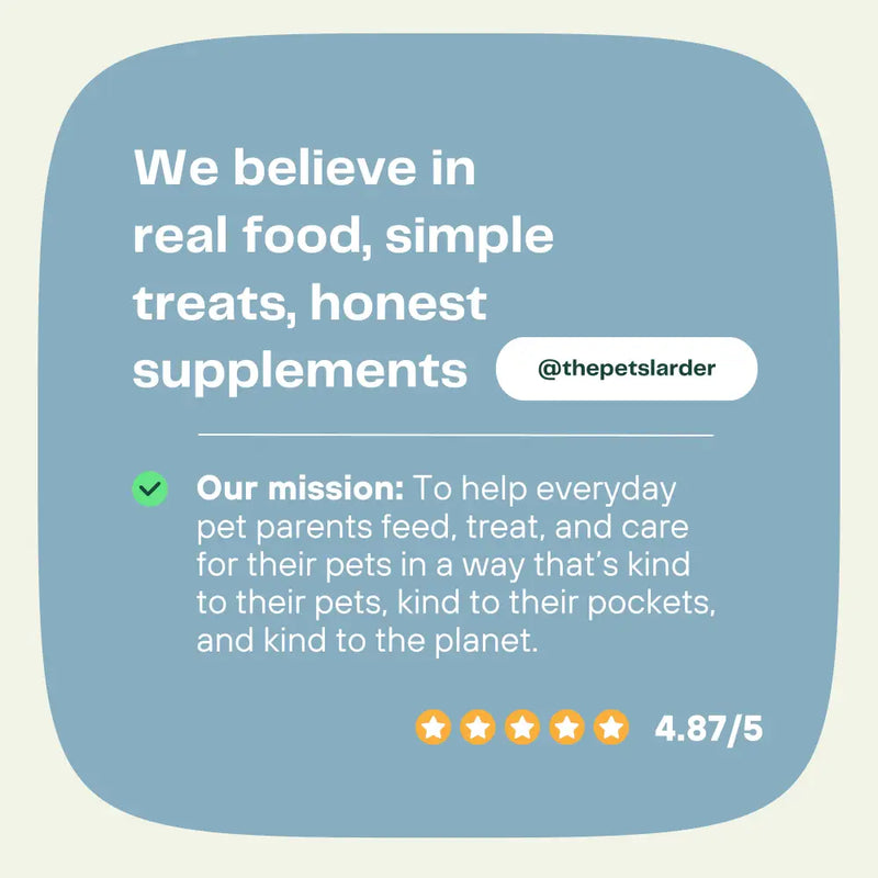Pork Crunch Natural Meat Chew For Dogs