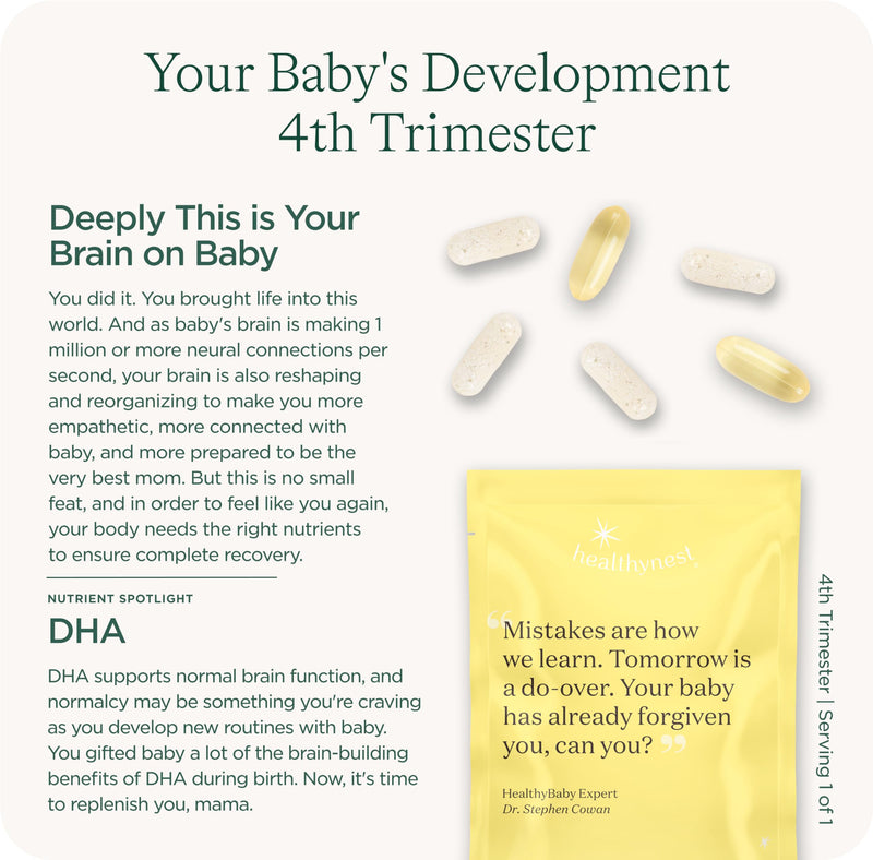 HealthyNest Postnatal & 4th Trimester Prenatal Vitamin | Made with Methylated Folate, Choline, DHA, Iron | 31 Day Supply