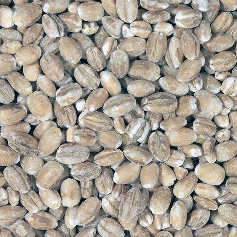 Infinity Foods Bulk Organic Pot Barley
