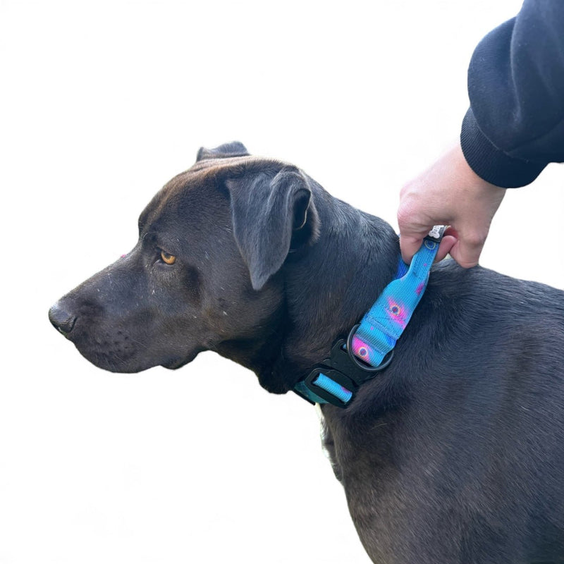Power Peacock Adjustable & Tactical Dog Collars