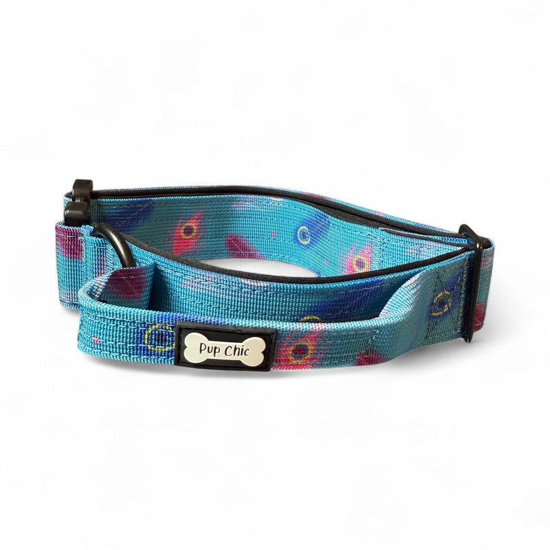 Power Peacock Tactical Dog Collar