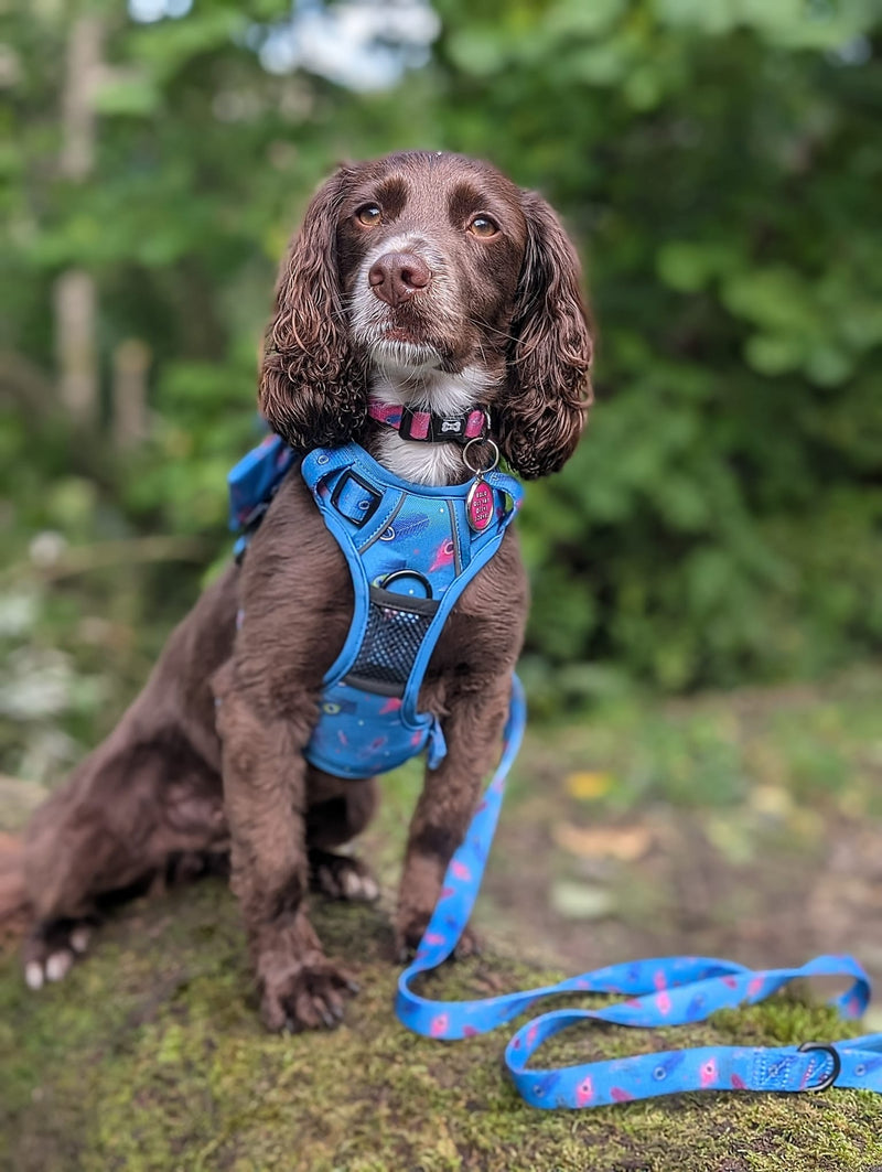 Power Peacock Tactical Dog Harness – No Pull & Fully Adjustable