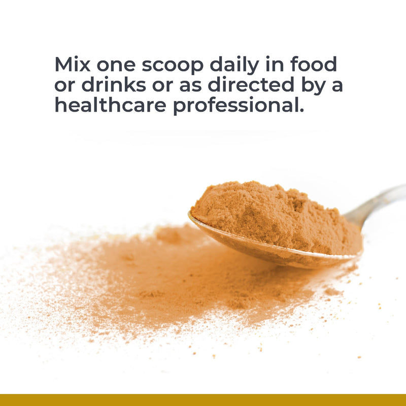 Premier Fermented Turmeric & Ginger Powder — Probiotic Delivery, Active Curcuminoids
