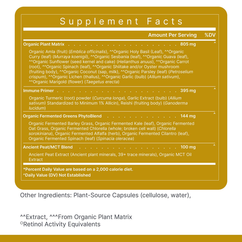 Premier Research Labs Multi-Vitamin – Immune, Brain & Heart Support | Vegan, Gluten & Soy Free | 120 Capsules