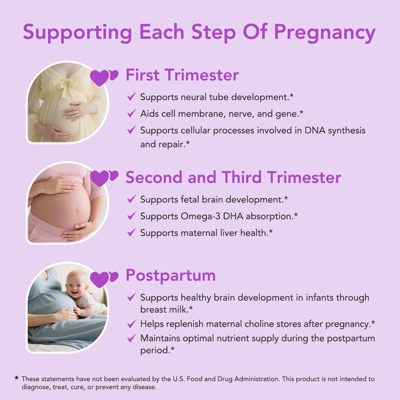 Premom Prenatal Choline Bitartrate 550mg – 60 Capsules | Prenatal Brain Support