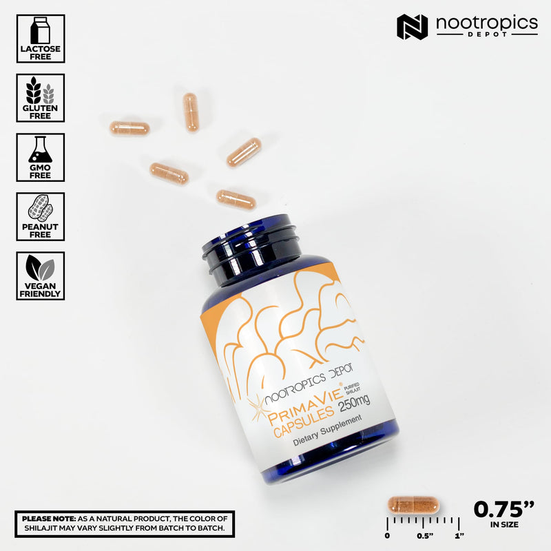 Nootropics Depot PrimaVie Shilajit Capsules | 250mg | 90 Count | Purified Extract | Ayurvedic Herb | Supports Mitochondrial Function + Boosts Endurance