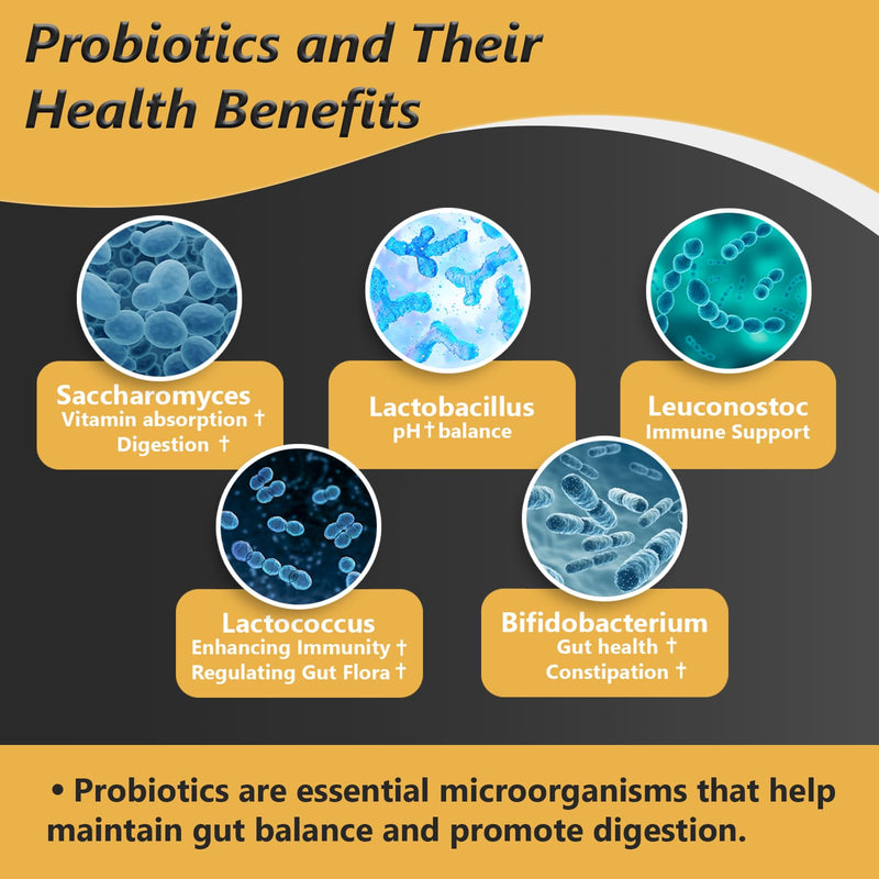 Proriginal Probiotics for Women & Men – 100 Billion CFU, 35 Strains, Prebiotics & Enzymes, 180 Caps