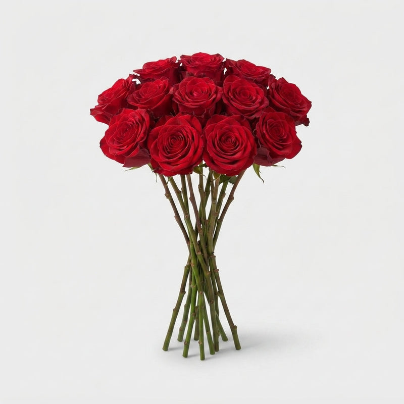 Rose Red Naomi Van Den Ende