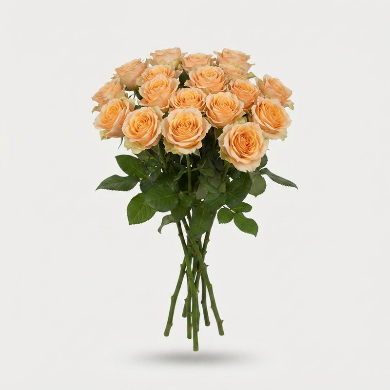 Spray Rose Trinity