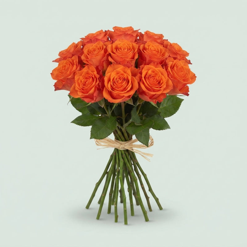 Rose Orange Wave