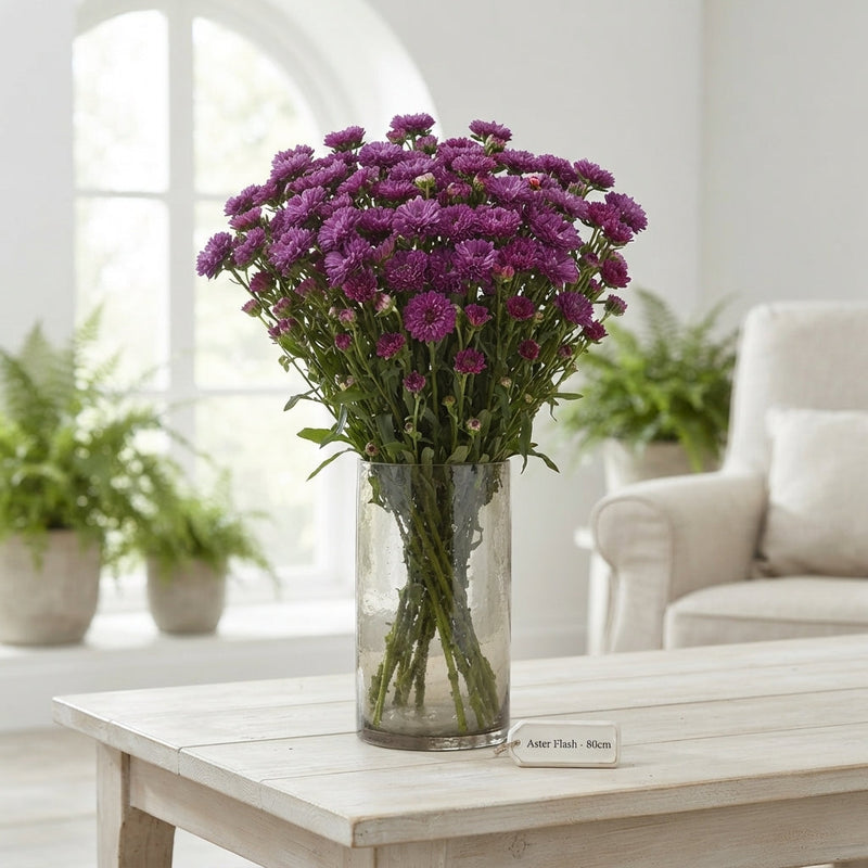 Aster Flash