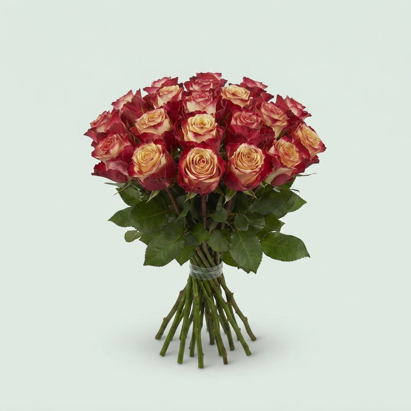 Rose Chapeau