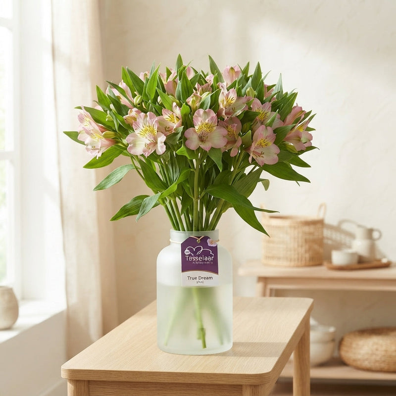 Alstroemeria True Dream (10 Stems)
