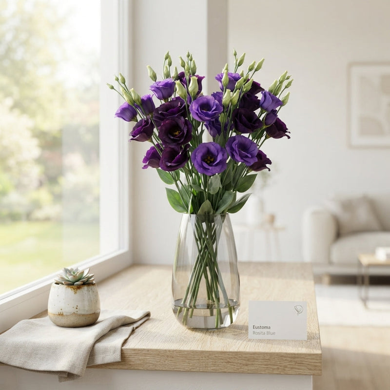 Lisianthus Rosita Blue