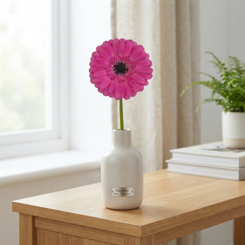 Germini Anna (20 Stems)