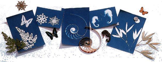 Curious Minds Sun Print Paper Kit, 10 Sheet Pack of Cyanotype Paper, 18x13 cm Sheets