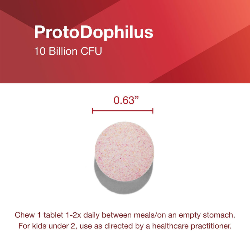 Protocol Chewable Protodophilus - 10 Billion CFU Probiotic | 60 Chewables, Vegan & Halal