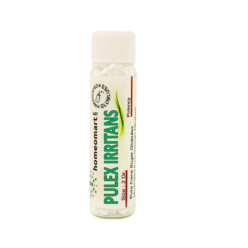 Pulex Irritans Homeopathy Pellets 200C Potency – Pack of 2 | Homeomart
