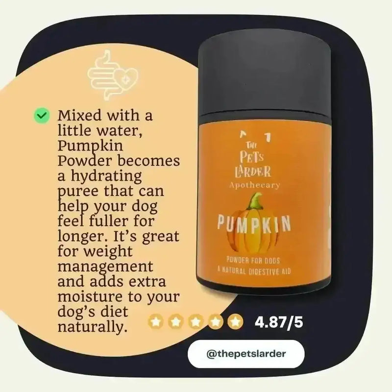 Pumpkin Powder for Dogs: Digestion Aid