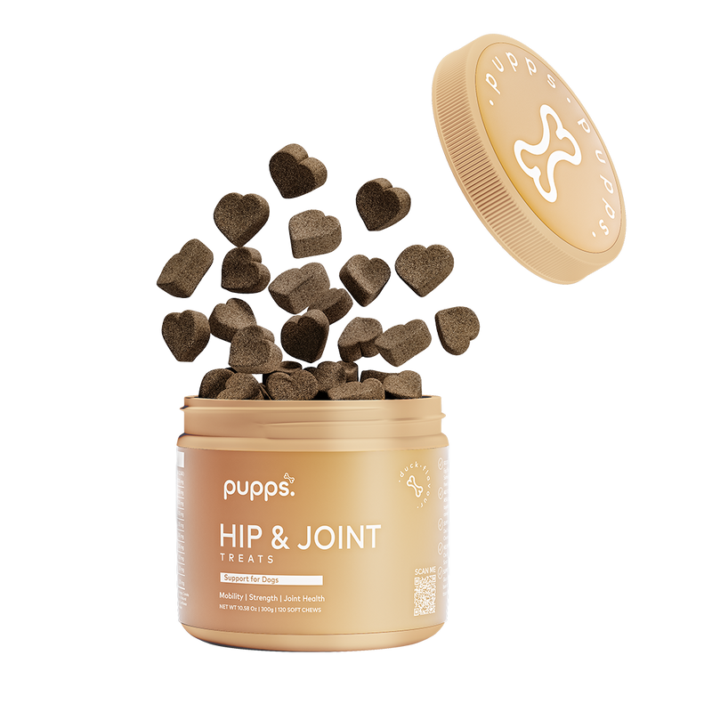 Hip & Joint Treats