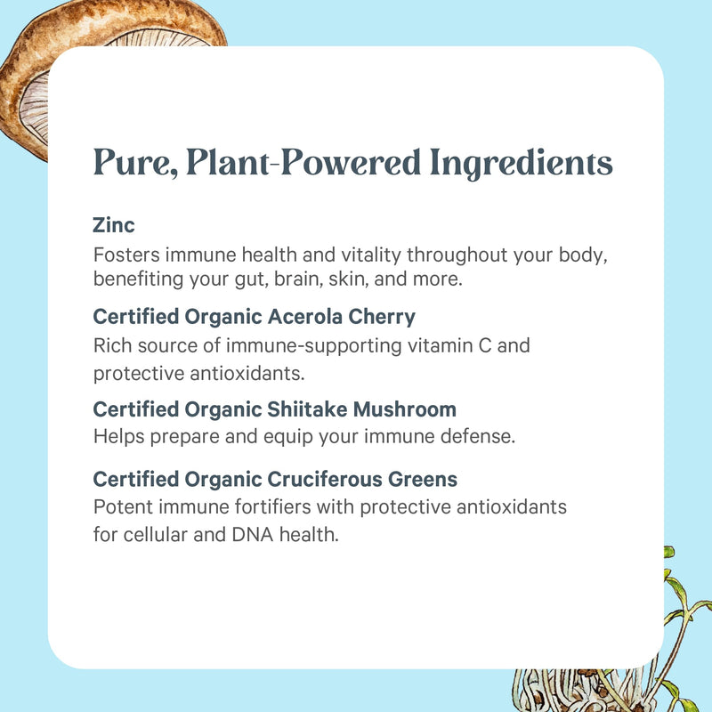 Pure Synergy Zinc Complex – Immune Support, Vegan Zinc with Vitamin C (60 Capsules)